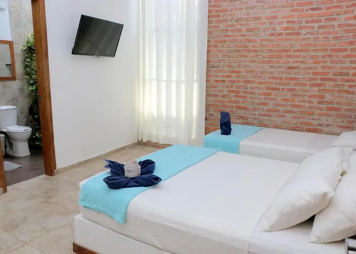 Hotel Palmas Del Rio